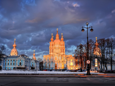 деревья, санкт-петербург, смольный собор, фонарь