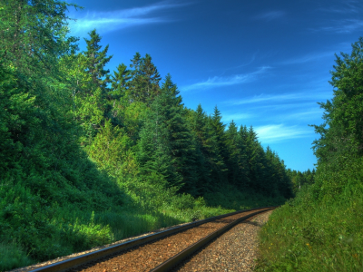 поезда, шпалы, железная дорога, железные дороги, природа, фото, деревья, леса, пути, транспорт, рельсы