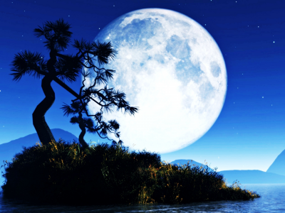 природа, ночь, вода, небо, остров, дерево, луна
