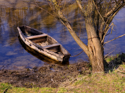 цепь, дерево, река, лодка