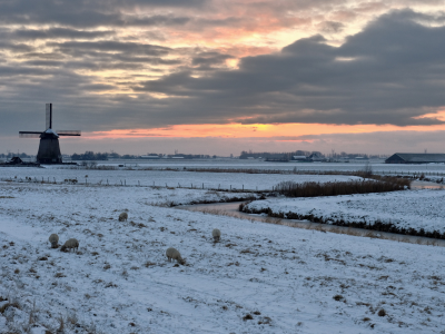 поле, мельница, пейзаж, закат, снег