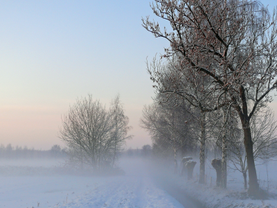 туман, пейзаж, деревья, зима, поле