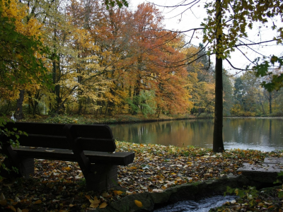 осень, деревья, парк, лавочка, река, тишина