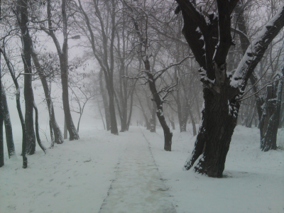 снег, дорожка, зима, туман