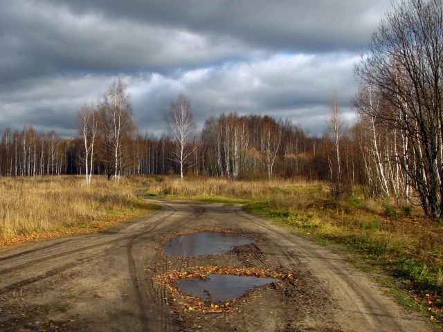 дорога, деревья, природа, небо