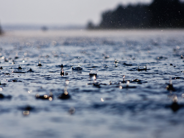 мокро, вода, капли, дождь, ливень, капля, ливни, макро обои, дожди