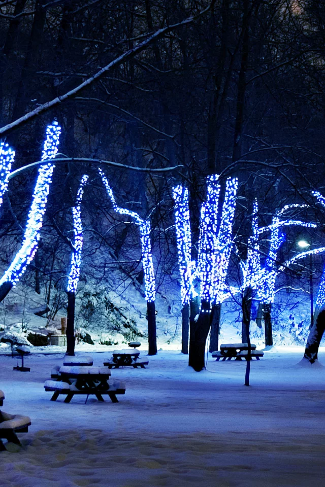 деревья, Новый год, аллея, парк, украшение, гирлянда