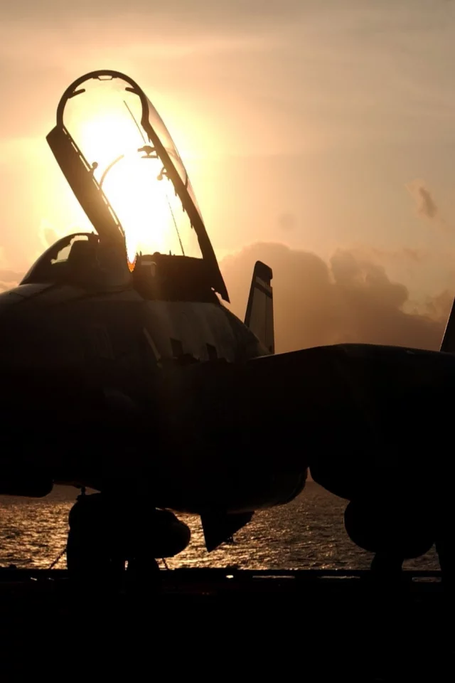 tomcat, закат, F-14