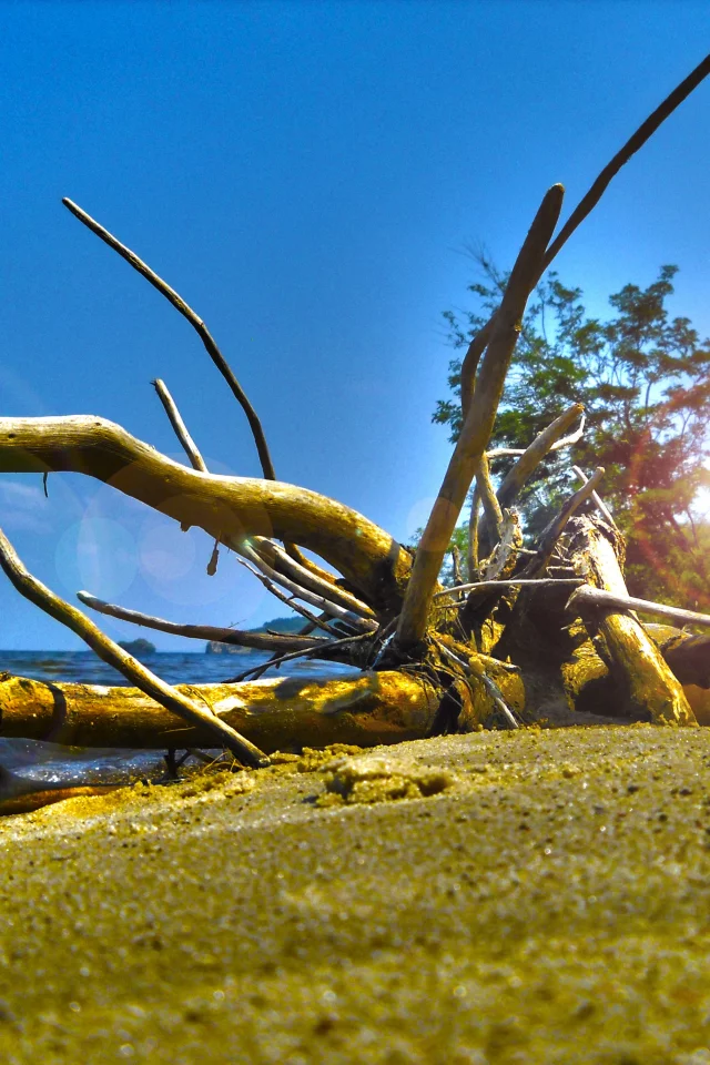 море, макро, пляж, природа, hdr, облака, берег, лето, небо, дерево, размытость