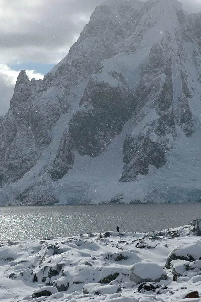 снег, гора, море