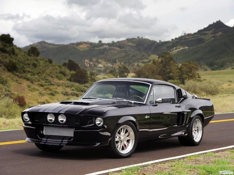 mustang, машины, авто, shelby, автомобили, ford