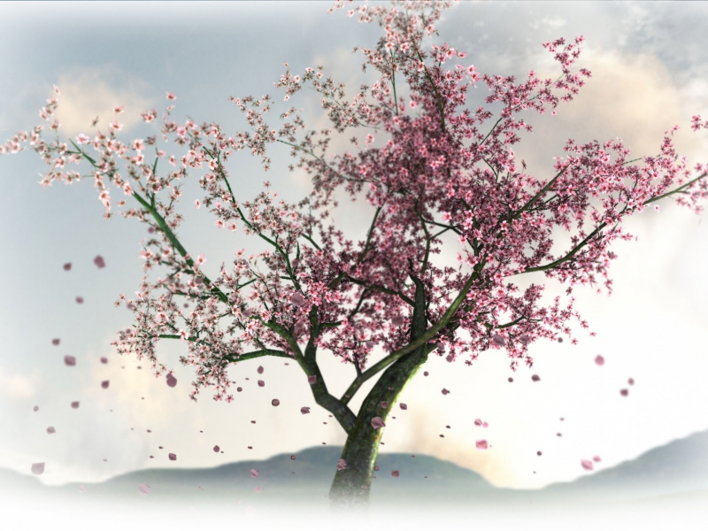 весна, цветы, сакура, дерево