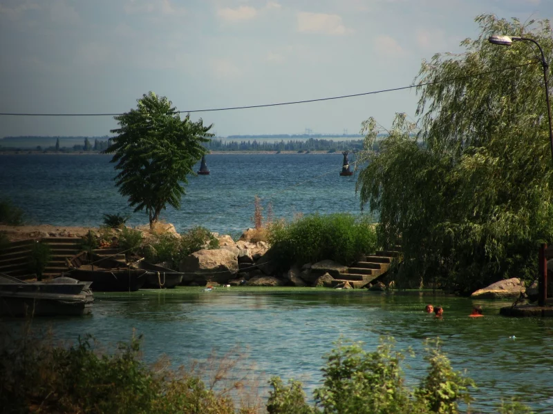 Деревья, Море, Природа