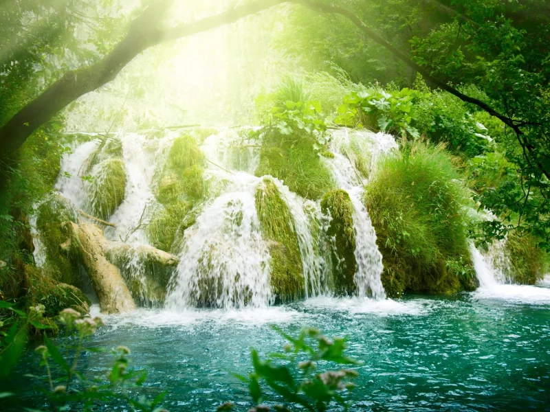 растительность, лазурь, лучи, деревья, водопад, солнца