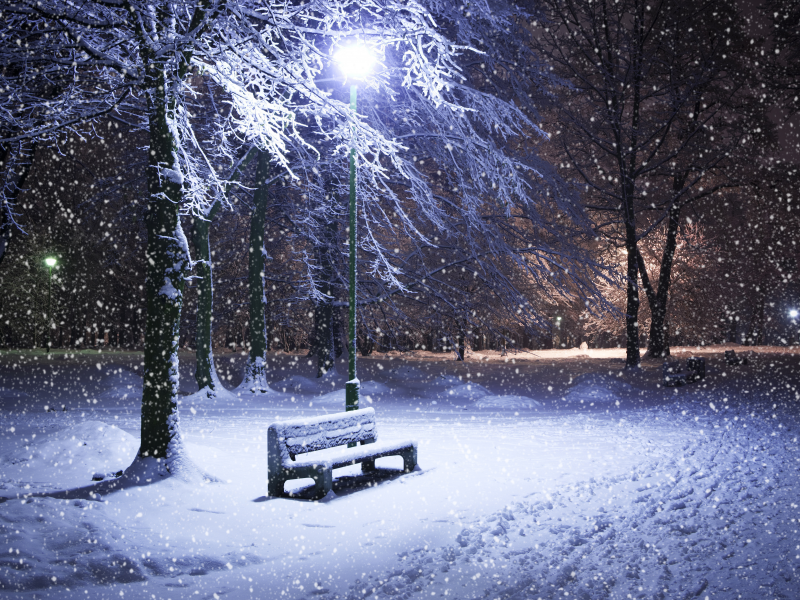ночь, парк, фонарь, деревья, лавка, зима, снег