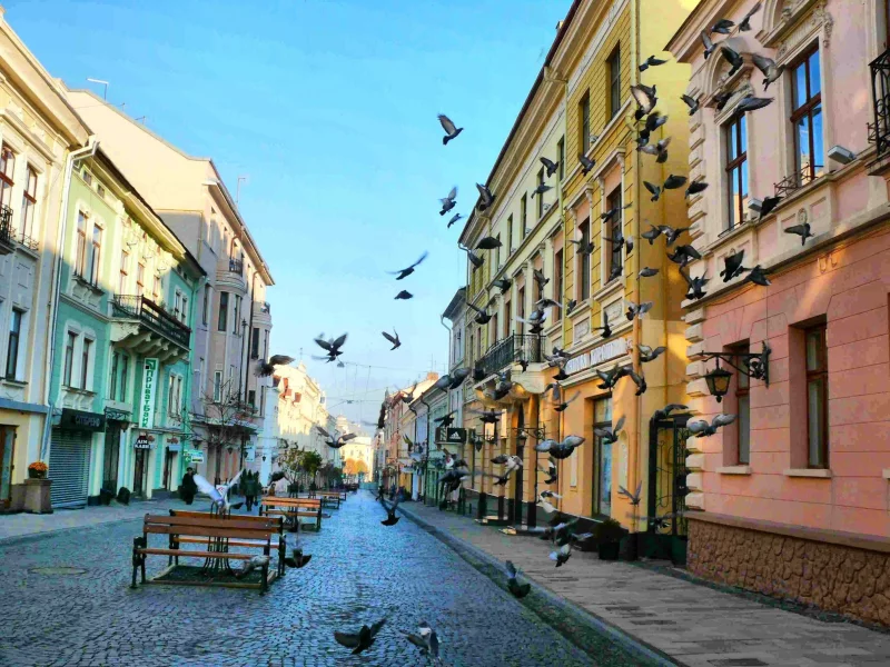 голуби, прилавок, улица