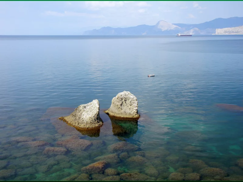 пальмы, камни, океан