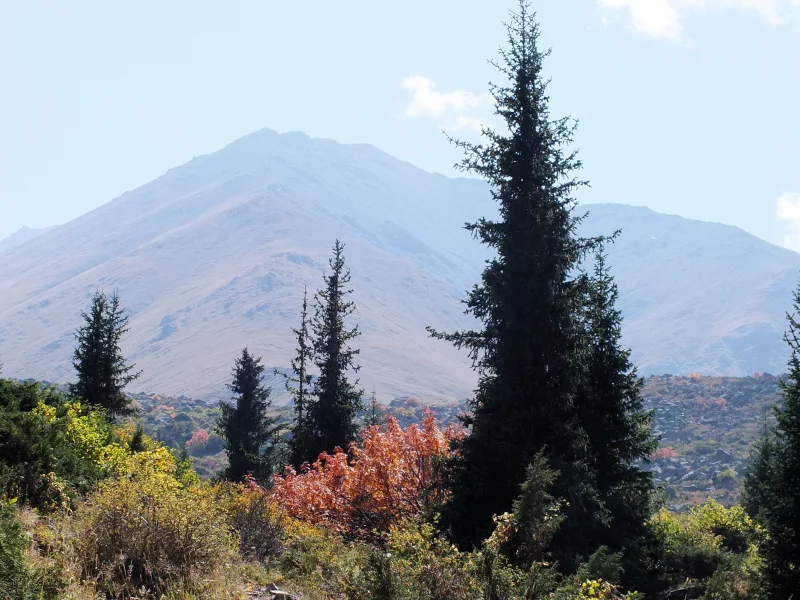 горы, осень, пейзаж
