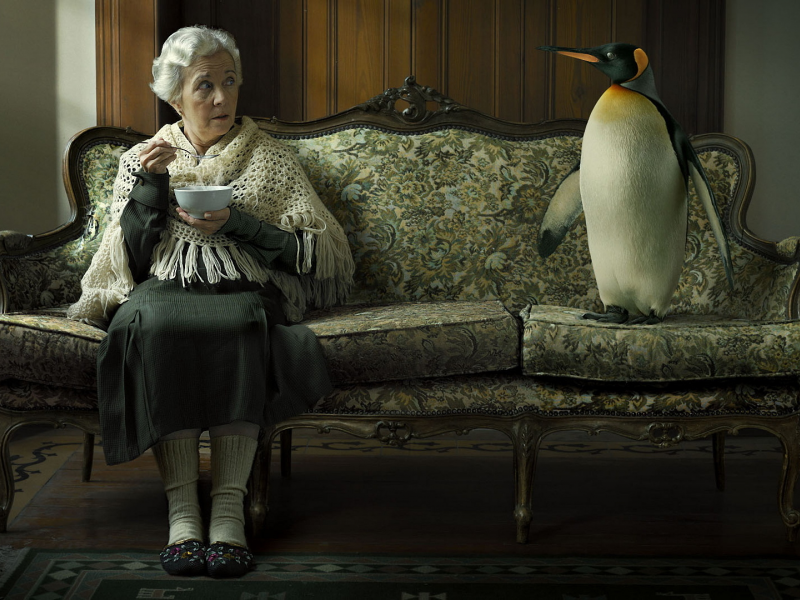 бабушка, диван, пингвин
