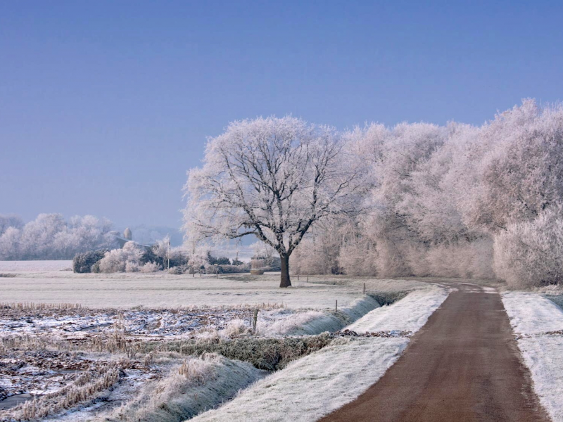 пейзаж, зима, поле, дорога