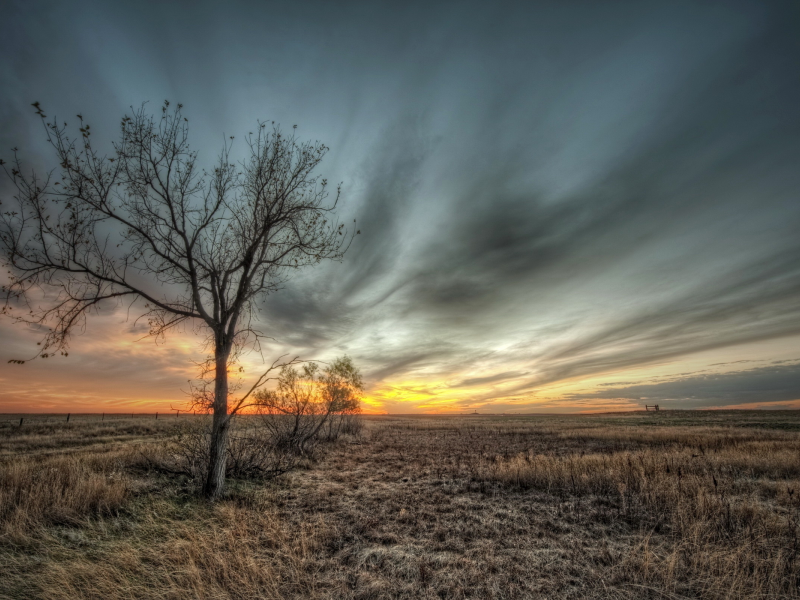 небо, пейзаж, дерево, HDR, природа, поле