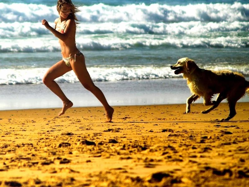 Mood, Run, Beach, girl, Catch, Foam, Posture, Smile, Beaches, Relationship, Candid, Play, Sea, Dog, Streets, Chase, Girl, Bonding