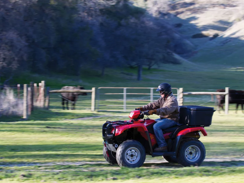motorcycle, мото, FourTrax Foreman 2012, FourTrax Foreman, ATV, Honda, мотоциклы, motorbike, moto
