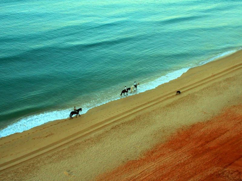 песок, всадники, берег, море