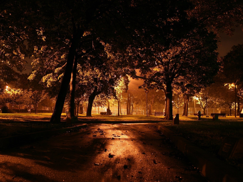 вечер, город, деревья, дорожка, фонари, свет, скамейка, ночь, парк