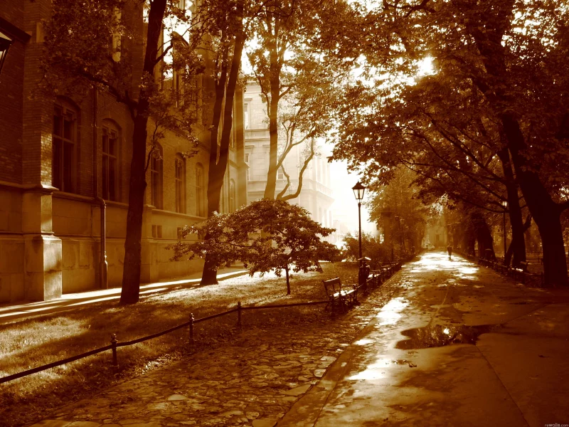 город, свет, дома, деревья, фонарь, тратуар