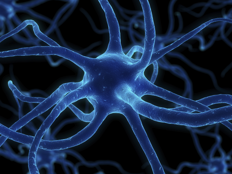 нейрон, клетка, нервы