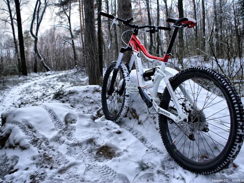 фрирайд, лес, снег, specialized, байк