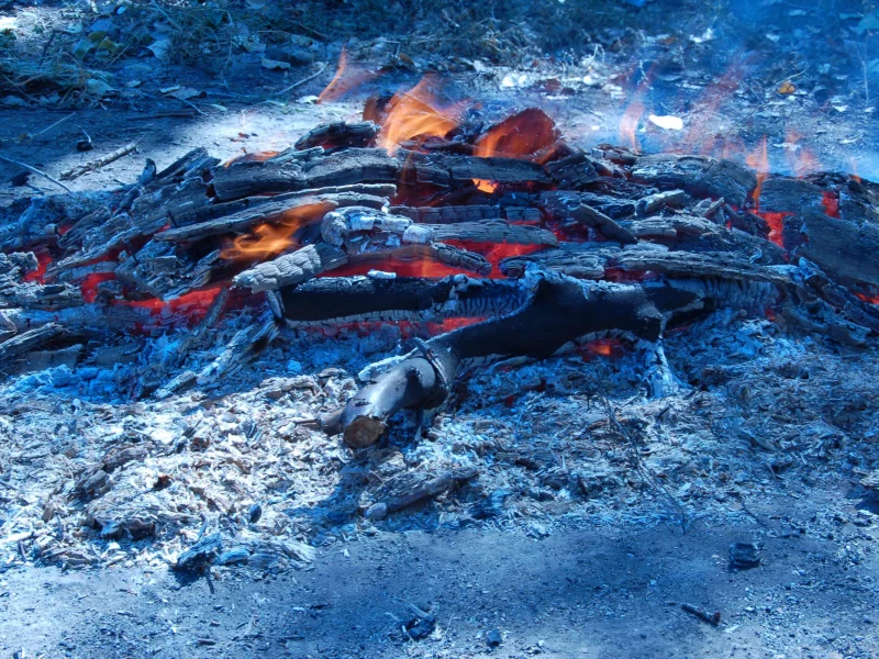 полено, пламя, огонь