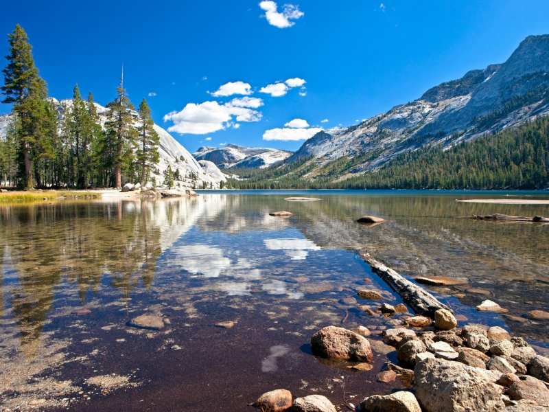 Tenaya Lake, деревья, горы, вода, Озеро, небо