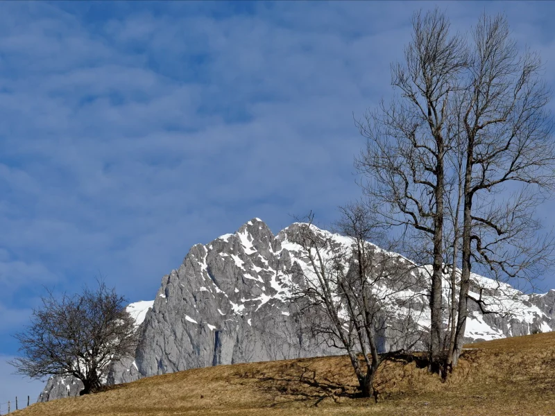 дерево, гора, небо, природа