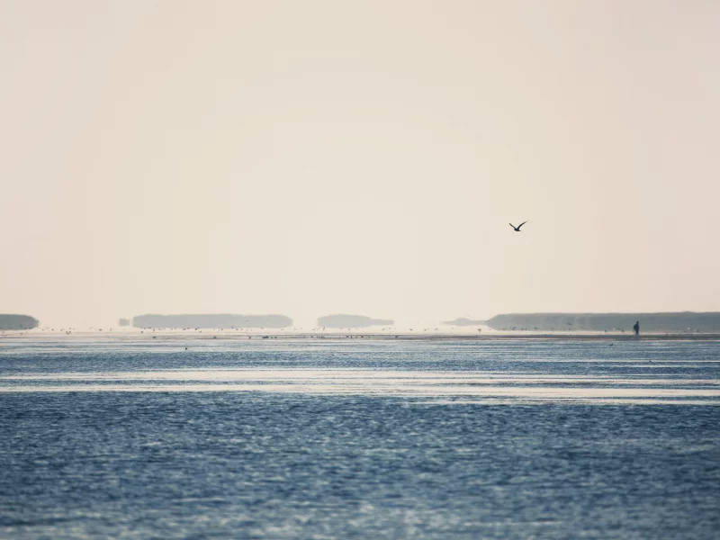 Красиво, Утро, Море, Morning, Sea