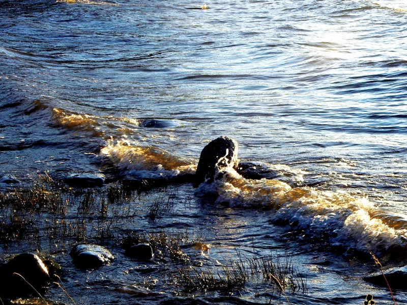 волны, море, камень