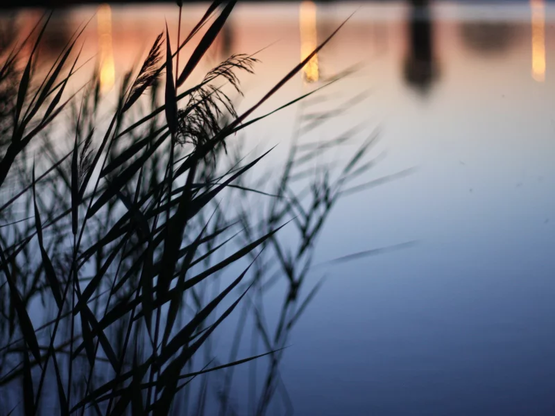 вода, закат, природа