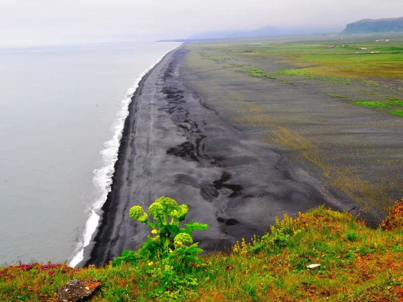 берег, пейзаж, море