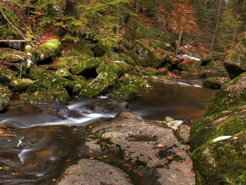 речка, камни, лес