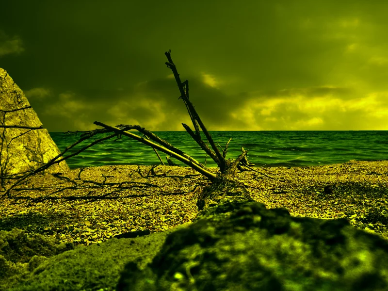 море, облака, дерево, песок, коряга, HDR, пляж, берег, резкость, лето