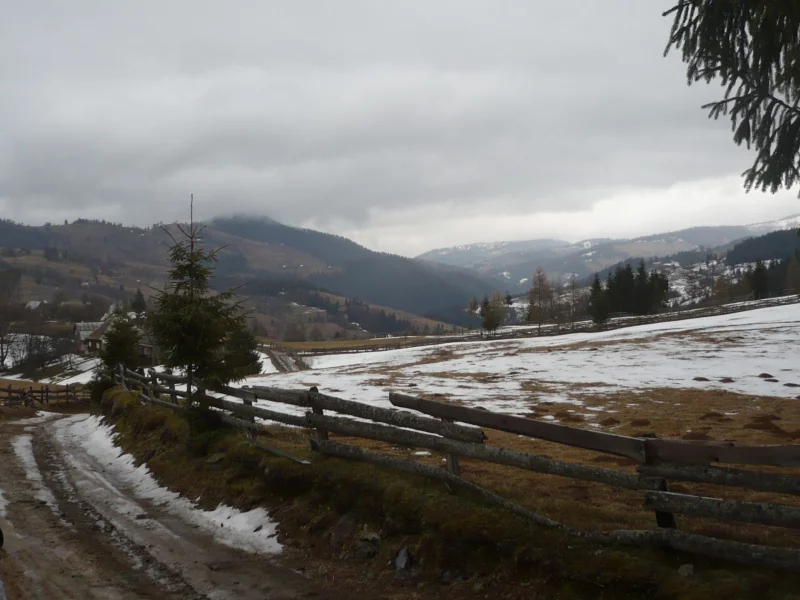забор, природа, дорога