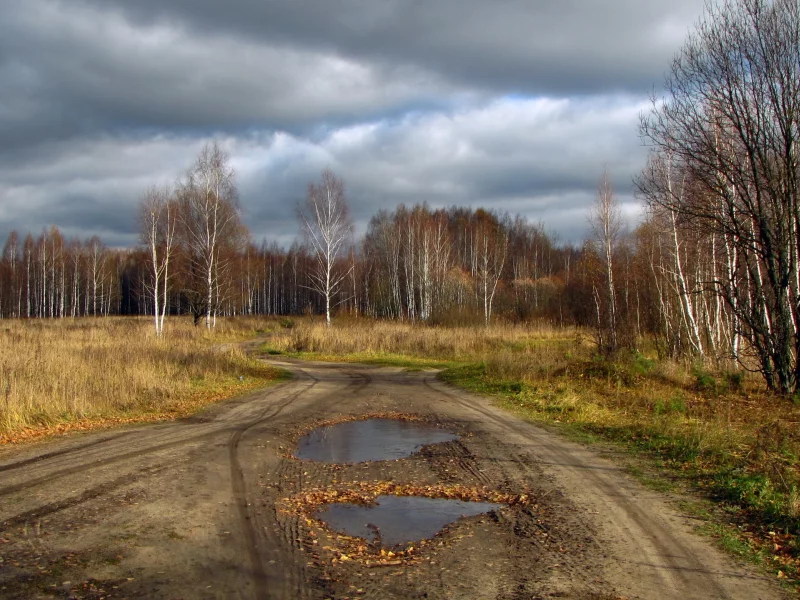 дорога, деревья, природа, небо