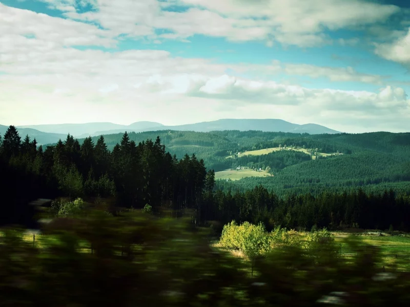 лес, скорость, landscape, пейзаж, вид, пейзажи