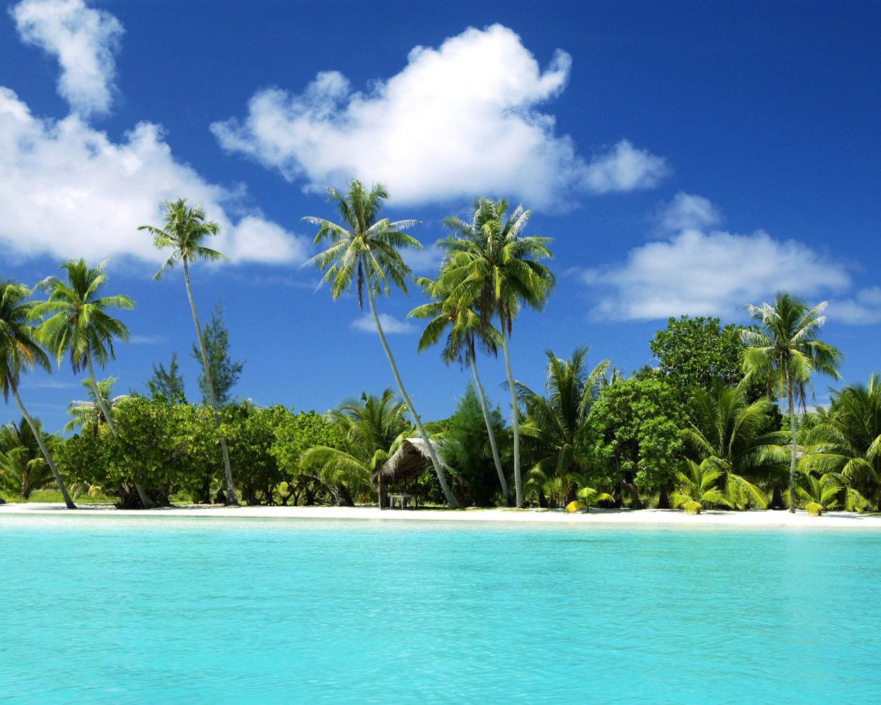 песок, пальмы, море, тропический остров, тропики, пляж