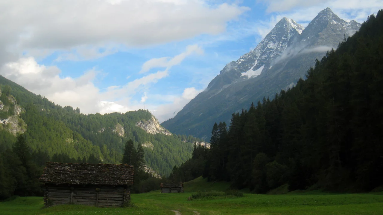 лес, домик, горы