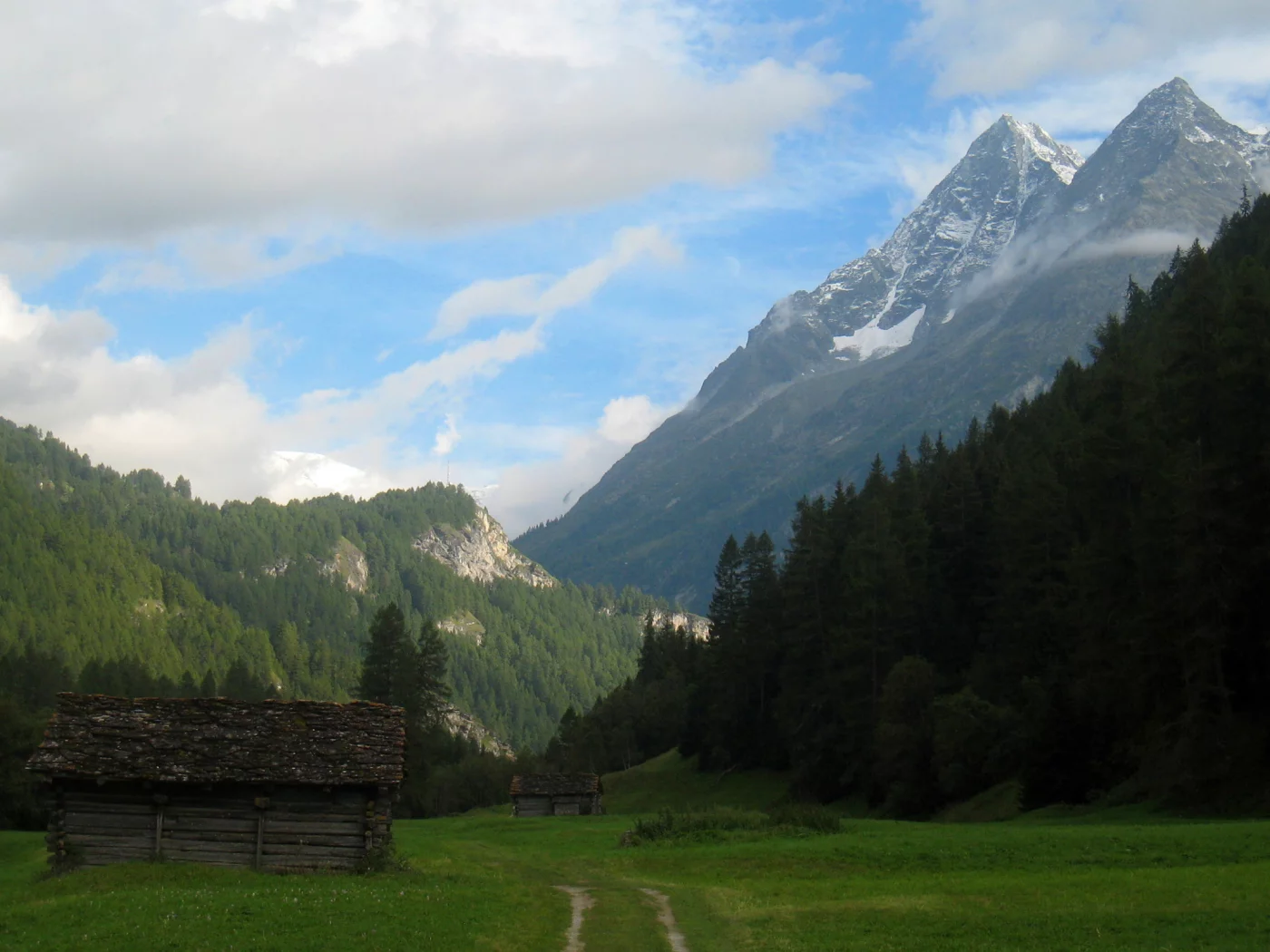 лес, домик, горы