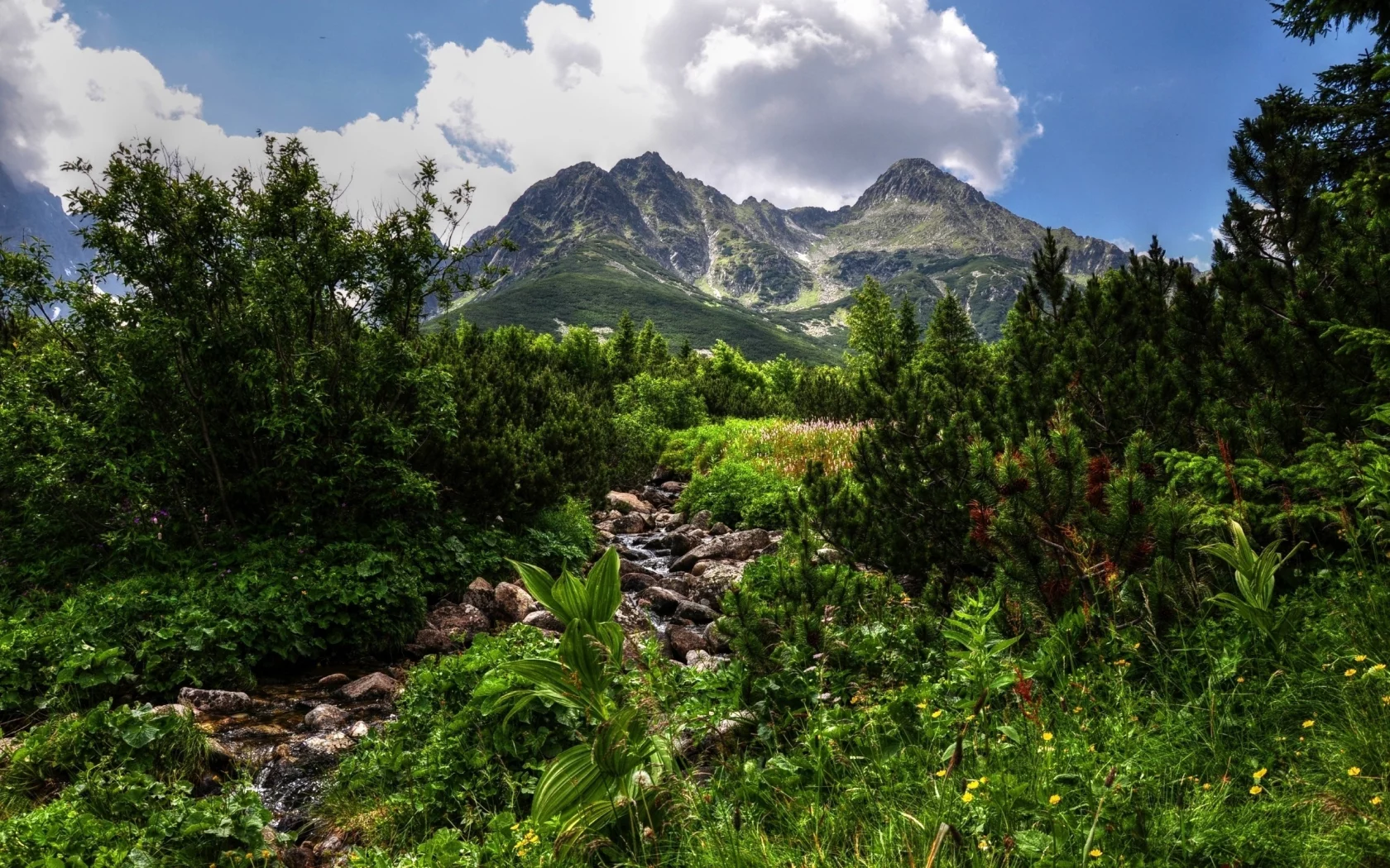 небо, зелень, день, облака, сосны, ручей, hdr, горы