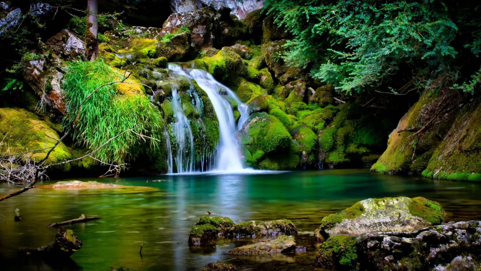камни, зелень, водапад