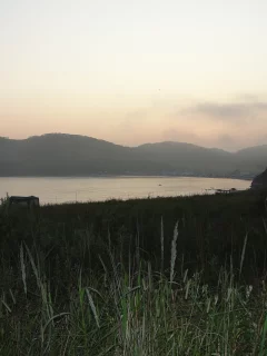сопка, зелень, море